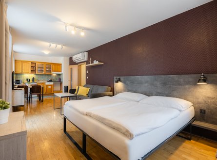 EA ApartHotel Melantrich - Studio pro 4 osoby SUPERIOR